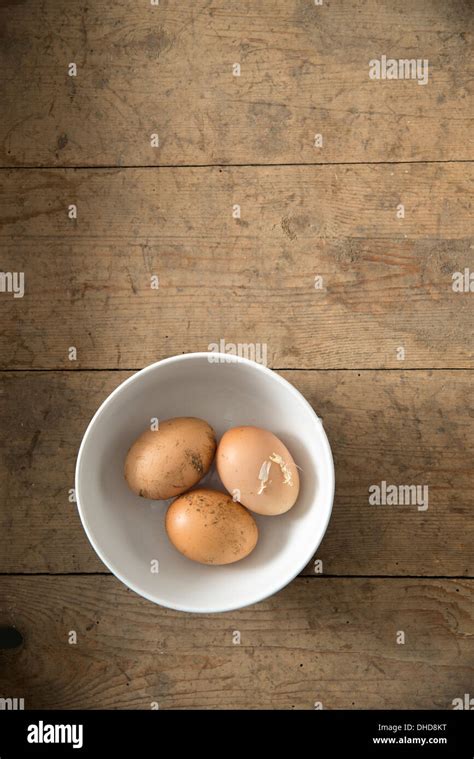 Free Range organic eggs Stock Photo - Alamy