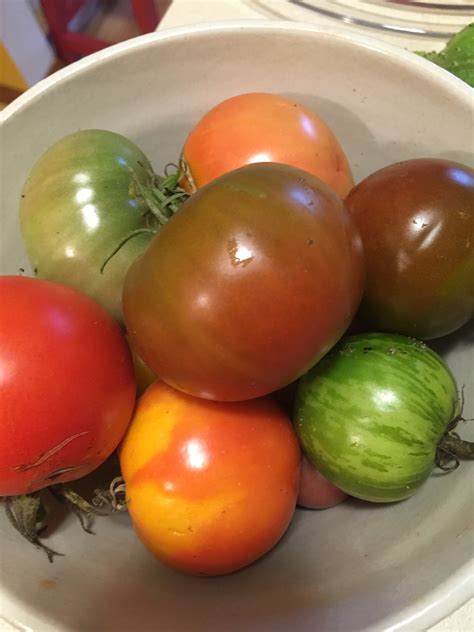 Michigan's Heirloom Tomatoes