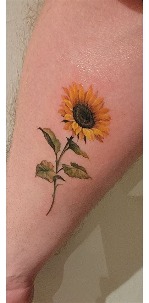realistic sunflower tattoo small bronctattooauscom