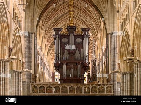 Exeter Cathedral interior, Devon, England, UK Stock Photo - Alamy