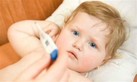 Como Saber Se O Bebe Esta Gripado - Bebê Gripado ou Resfriado – Veja como Aliviar os Sintomas – Gravidez e ...