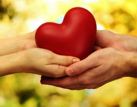 Definición de amor - Qué es, Concepto y Significado.