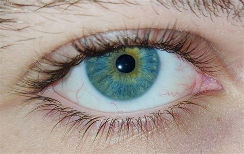 Do i have central heterochromia? : r/eyes