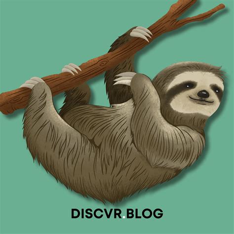 The bat-eared fox is a small canid native to the grasslands and