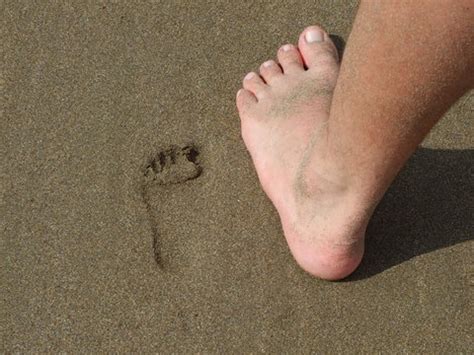 imagenes de stopa descubre bancos de fotos ilustraciones vectores