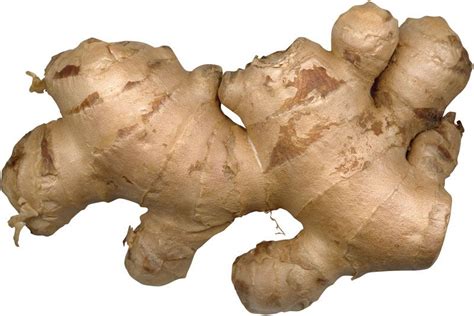 Ginger | Description, Plant, Spice, Rhizome, Uses, Flavor, & Facts ...