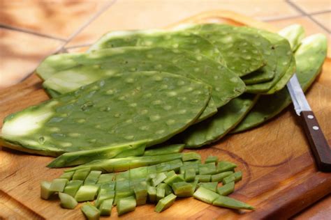 5 Nopal Cactus Benefits Weight Loss - Healthy Huemans