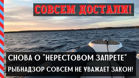 Снова о нерестовом запрете. Ст. 8.33 и 8.37 КоАП РФ, как они должны ...