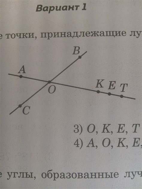 укажите все точки, принадлежащие лучу ОЕ - Школьные Знания.com