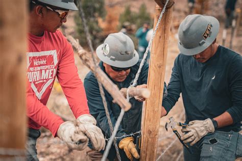 Strengthening Sovereignty through Collaboration & Community — Trees