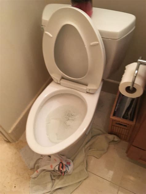 Can Too Much Toilet Paper Clog Pipes at Carlos Bell blog