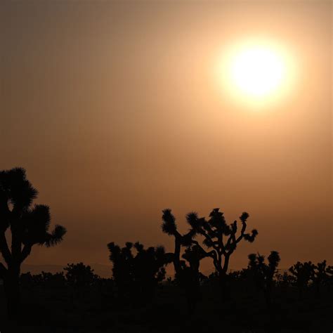 Heat Wave Is Expected to Bake California This Weekend - The New York Times