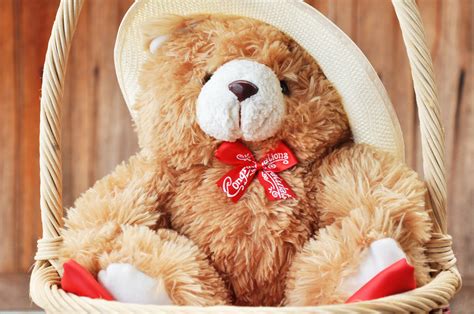 Teddy Bear Hd Wallpapers 1080P Download : Download teddy bears ...