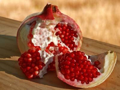 Pomegranate skins>>our natural dyestuffs>>"antique rugs of the future" project