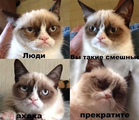 Недовольная рожа (Иосиф Шмуэль) / Стихи.ру