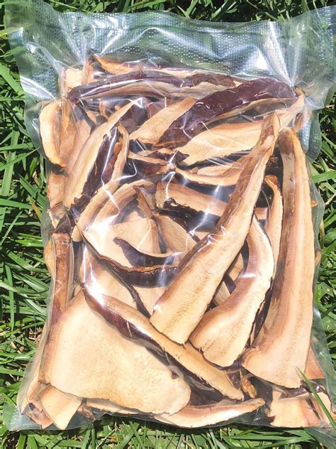 Reishi Fruiting Body - RYZE Superfoods