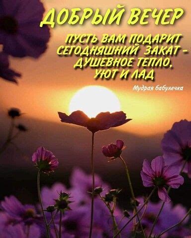 За добрый вечер! | OK.RU | Счастливые картинки, Фотография юмор ...