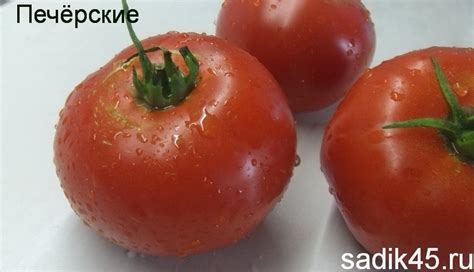 Томат Печерский: описание сорта, отзывы, фото | tomatland.ru