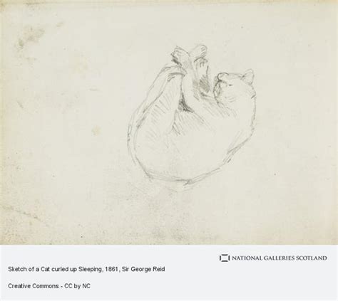 Curled Up Cat Drawing at PaintingValley.com | Explore collection of ...