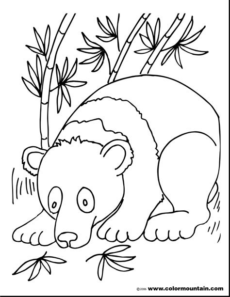 Bamboo Coloring Pages at GetColorings.com | Free printable colorings ...