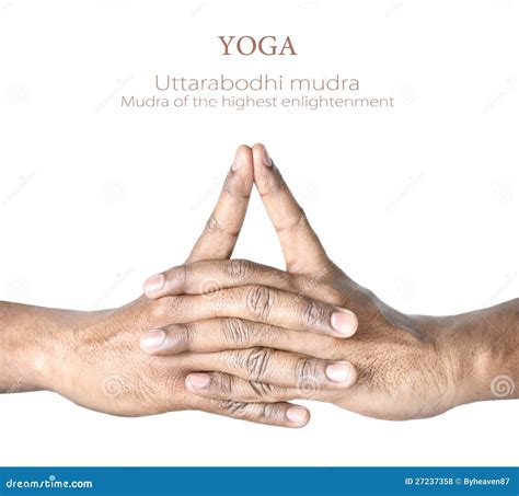 yoga uttarabodhi mudra stock photo image  buddhist