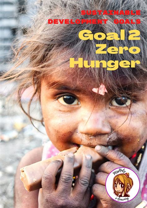SDG (sustainable development goal) #2 - Zero Hunger | Made By Teachers