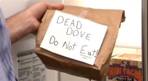 Dead Dove: Do Not Eat | Know Your Meme