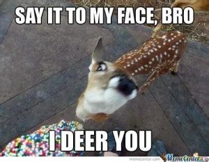 10 Best Deer Memes | Sweeney Feeders