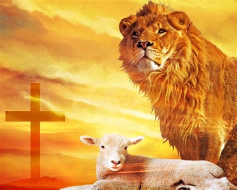 Lion and Lamb Wallpapers - Top Free Lion and Lamb Backgrounds ...