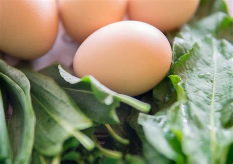 Яйца със зеленолистни растения – Кулинарно вдъхновение