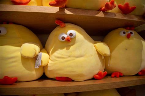 2025: per la prima volta nel mondo ci sono più bambini obesi che