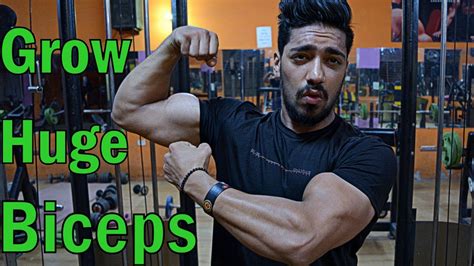 How to Grow Huge Biceps | Top 3 Exercise for MASS | Beginner Workout
