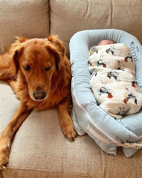 Real life secrets of the actor playing Detective Elliot Stabler 26