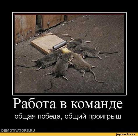 275 смешных картинок про работу