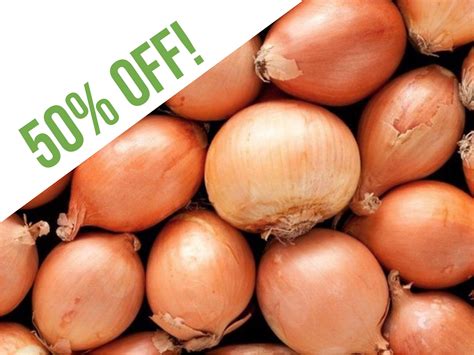 tree onions for sale