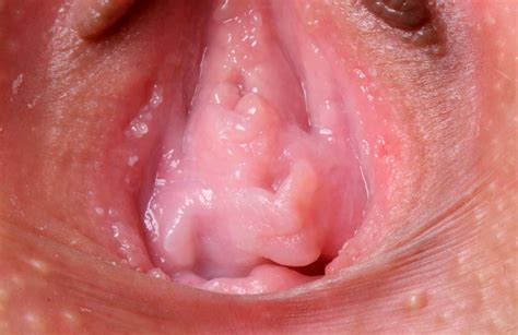 girlsdelta sachina ogiwara vip  porno