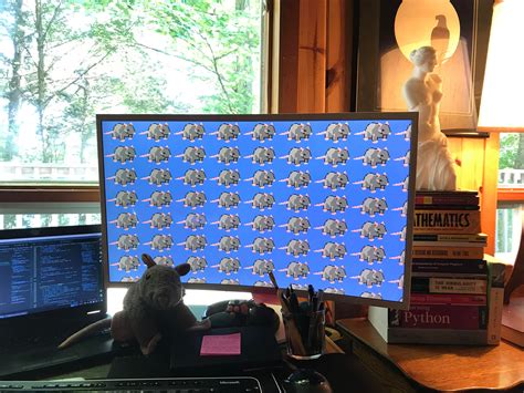 Heaven on earth : r/carolinasukie