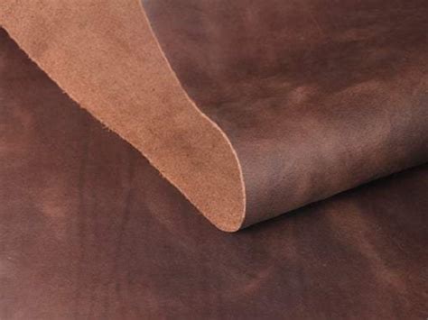 learn  leather  masterpiece  europe
