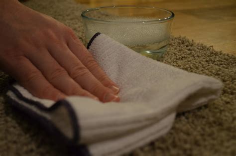 How to Clean Your Personal Coffee Maker - Ginny's Tips