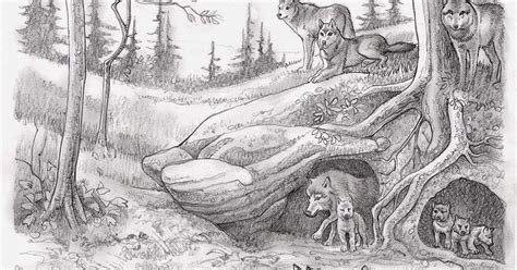 Den Drawing at PaintingValley.com | Explore collection of Den Drawing