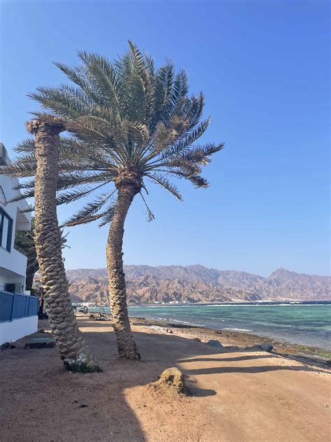 Living in Dahab Egypt as a Digital Nomad – Explore With Lora
