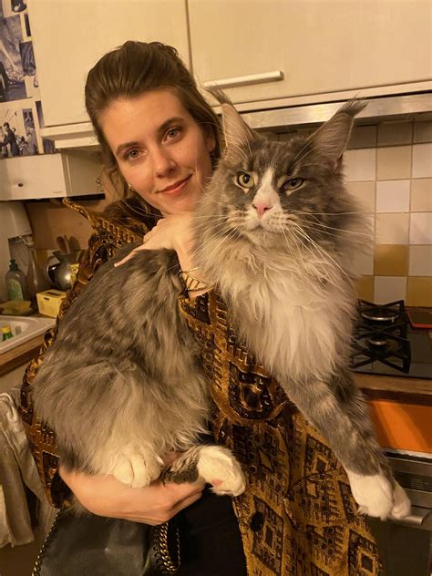 when do house cats stop growing 2
