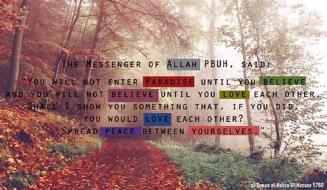 prophet muhammad pbuh     enter paradi flickr