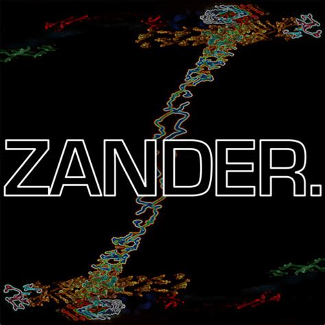 Stream Zander. music | Listen to songs, albums, playlists for free on ...