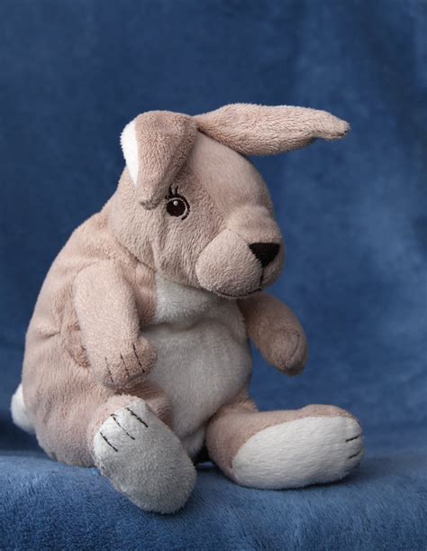 plush bunny Free Photo Download | FreeImages
