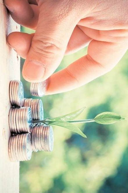 south breeze finance