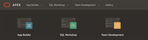 The Next Step in Low-Code: Oracle APEX with AI Tools