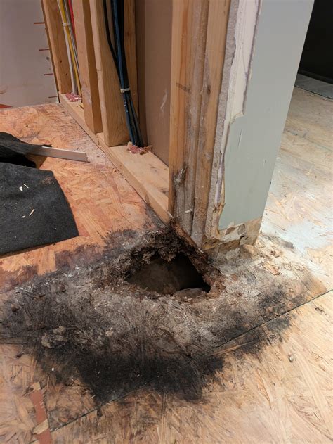shower - Rotten subfloor under wall frame - Home Improvement Stack Exchange