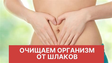 Как очистить организм от шлаков/ Очищение организма - YouTube