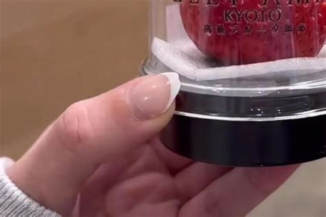 Outraged shopper exposes grocery store's jaw-dropping $20 strawberry ...